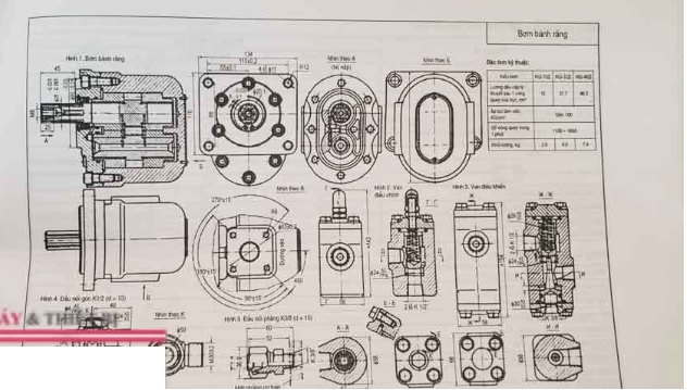 Bản Vẽ Bơm Bánh Răng Thủy Lực