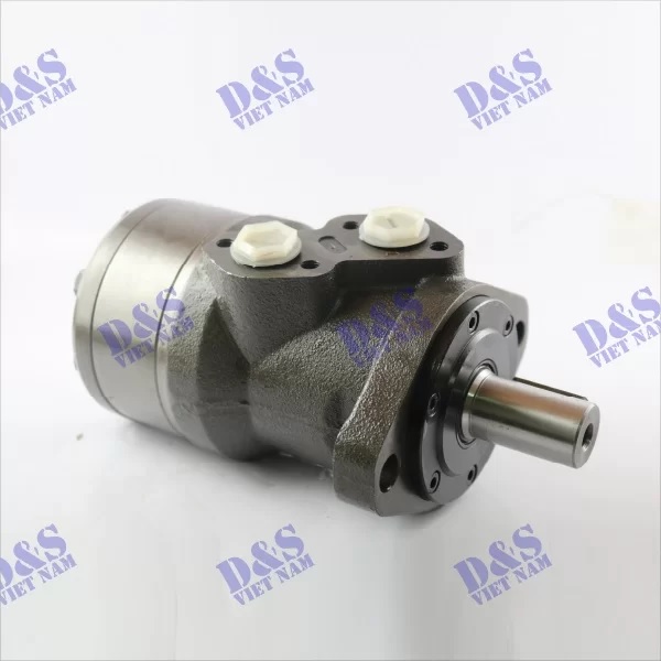 Phân loại Motor thuỷ lực phổ biến